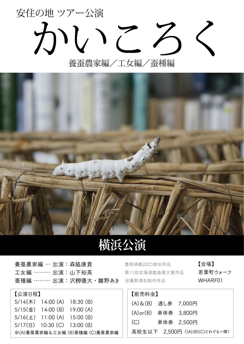 安住の地 tweet media