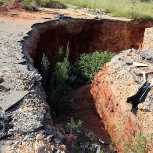 Roodepoort Record / Northsider tweet media