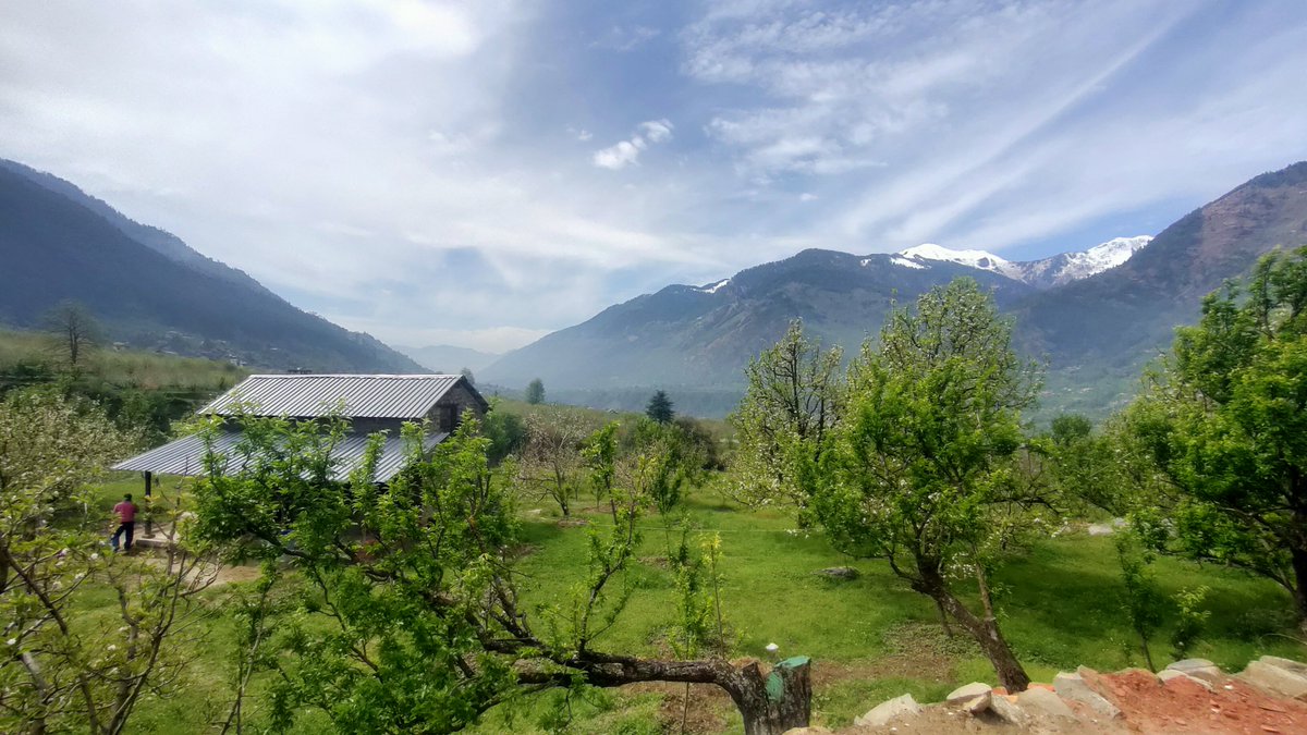 thw4u's tweet image. Full Spring ☺️♥️🌸

#mountains #Spring
#Kullu #HimachalPradesh