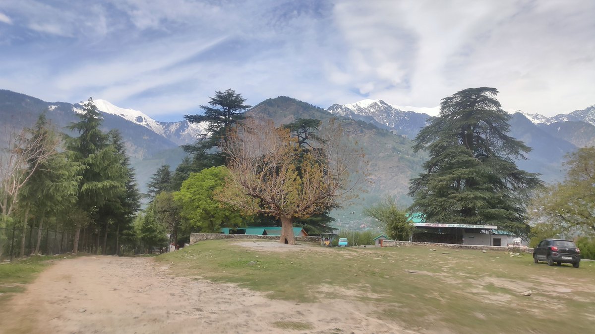 thw4u's tweet image. Full Spring ☺️♥️🌸

#mountains #Spring
#Kullu #HimachalPradesh