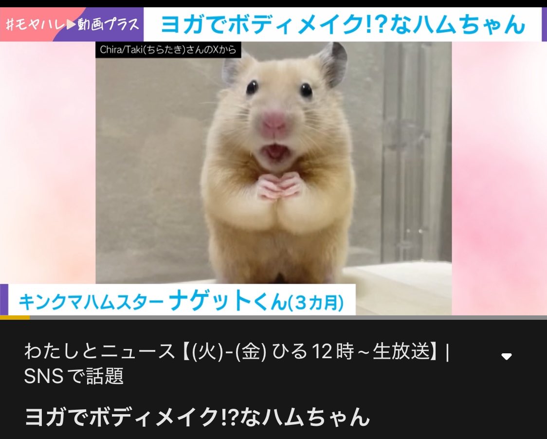 Chira/Taki (ちらたき) tweet media