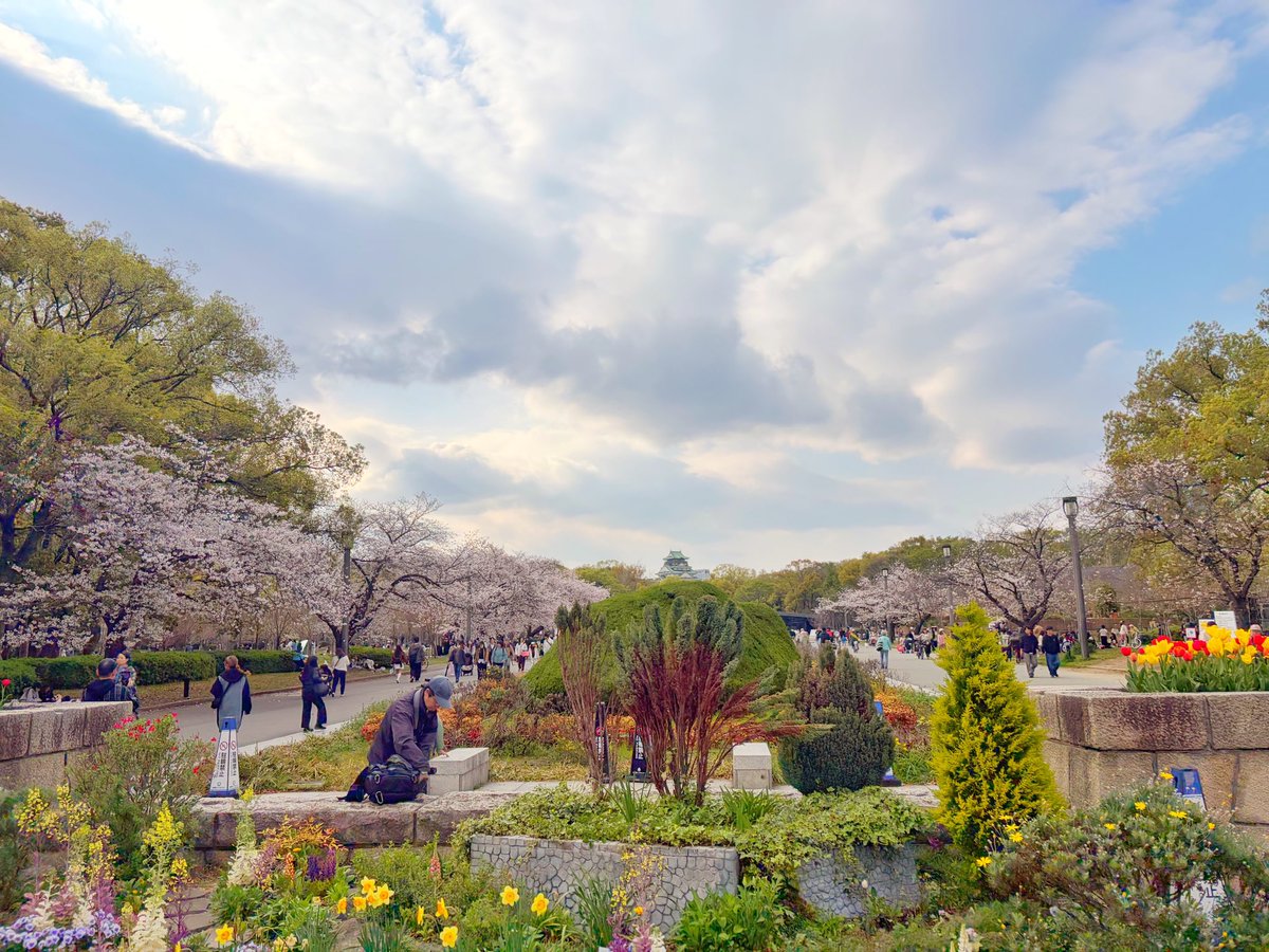 ひろ🌱腸活ダイエットコーチ tweet media