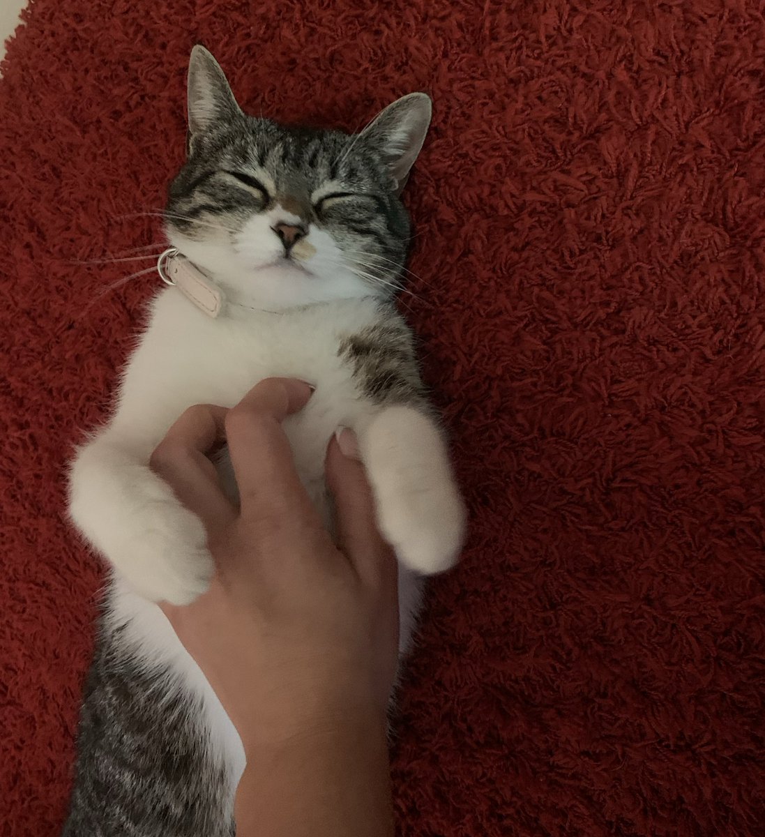 𓆩 esteranza 𓆪 tweet media