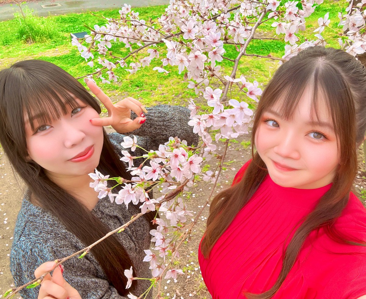 今週火曜日にあかりんと大阪城で
お花見デートしてきました🌸

雨の心配もある中なんとかふらずにまわれて
美しい桜を眺めながら美味しいもの食べたり
女子トーク全開でキャッキャしたり写真撮ったりと
楽しく幸せいっぱいの時間を過ごせました✨
❤︎⑅⁺˖ 𝐇𝐚𝐩𝐩𝐲 ꕤ…˖*(*´σｰ｀)ｴﾍﾍ
