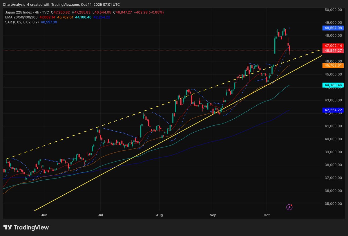 小林奈緒 tweet media