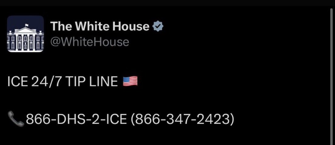 DeeRod 🇺🇲🦅 tweet media