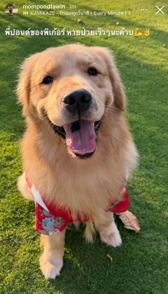 🌈🧡🤍Chutty^^ tweet media