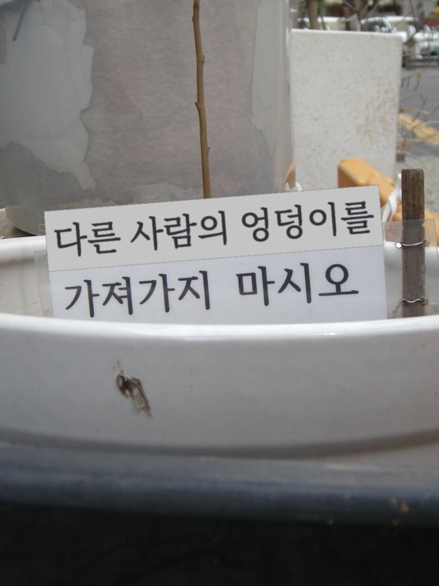 내 취향 사진들 tweet media