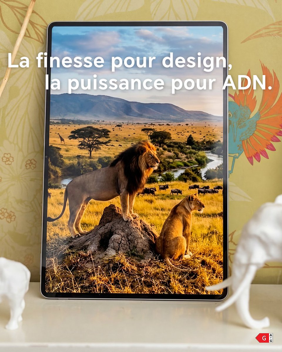 HONOR France tweet media