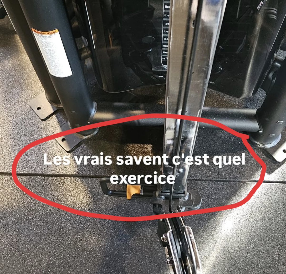 🥾 mirabelle 🥾 tweet media