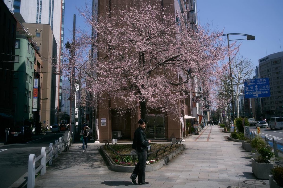 Phu.uuuuuuu tweet media