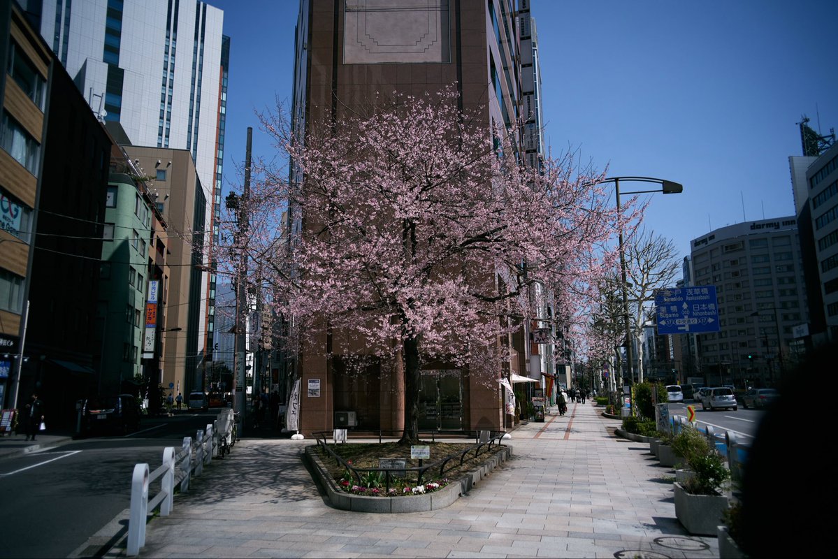 Phu.uuuuuuu tweet media