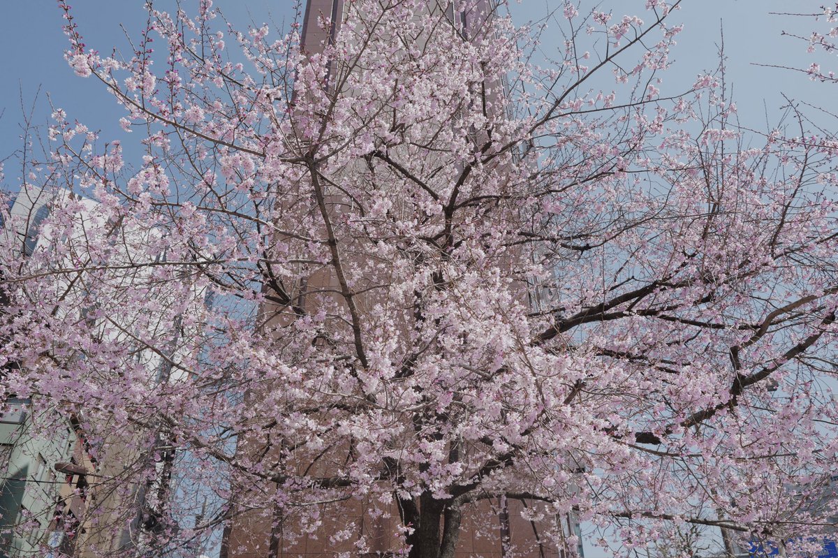 Phu.uuuuuuu tweet media