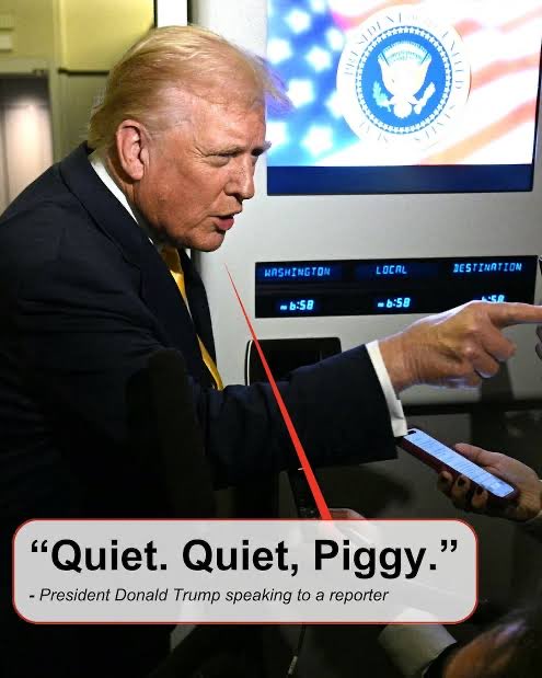 sethieshots's tweet photo. @GreenSan1987 @TheDivineNigga @DidDTrumpDie If the good die young this human shit will live to 1000 https://t.co/WxiapaKNHH