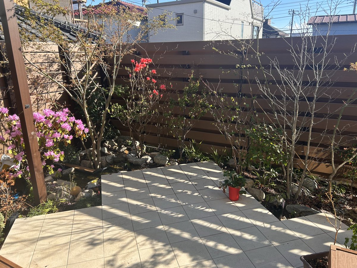 h0me_m0ney's tweet photo. 1年後の定点観測！
赤花のミツバツツジはサイズダウンの強剪定をしたせいか、今シーズンはかなり花が少なめ。
今回も強めの剪定をするから、来シーズンも花は少なめかな。
薄紫の玄海ツツジはいい感じ！

アオバナハイノキとビバーナムは樹は元気なのに花がつかない…
原因考えないと🤔 https://t.co/blzjAyFtJt