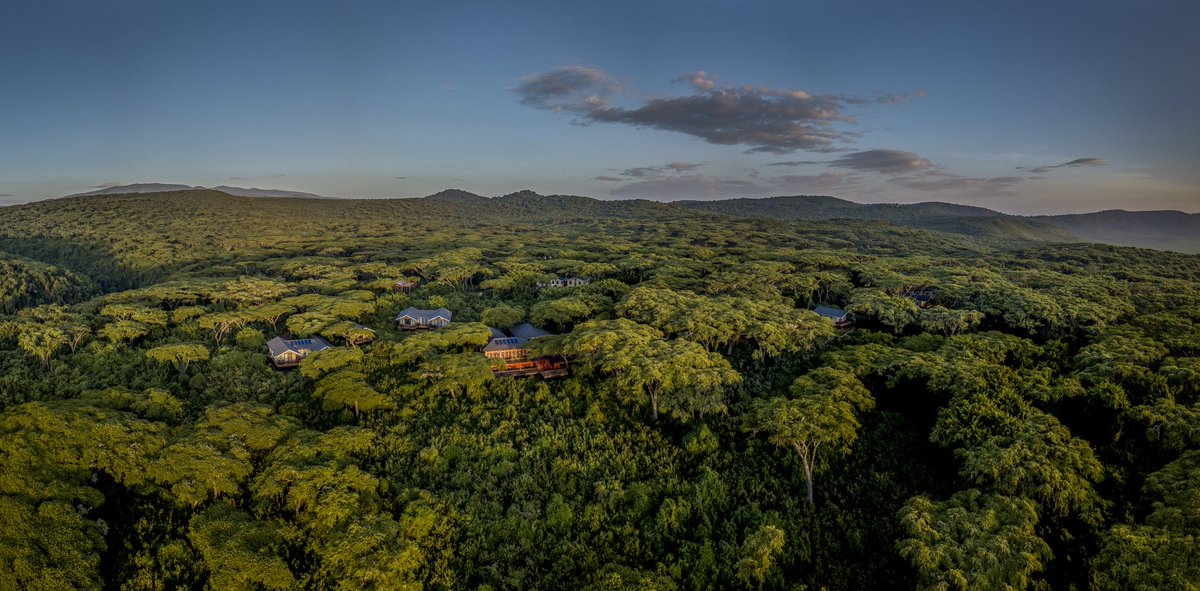 Stejos_Tours's tweet image. April in Ngorongoro is a whole mood 

Green Season is officially here. Lush landscapes, crystal-clear views, and newborn wildlife everywhere.

Fewer crowds, more magic. This is the safari secret you’ve been waiting for 

📍 Lion's Paw Camp, 

#Ngorongoro #Safari #TravelTanzania