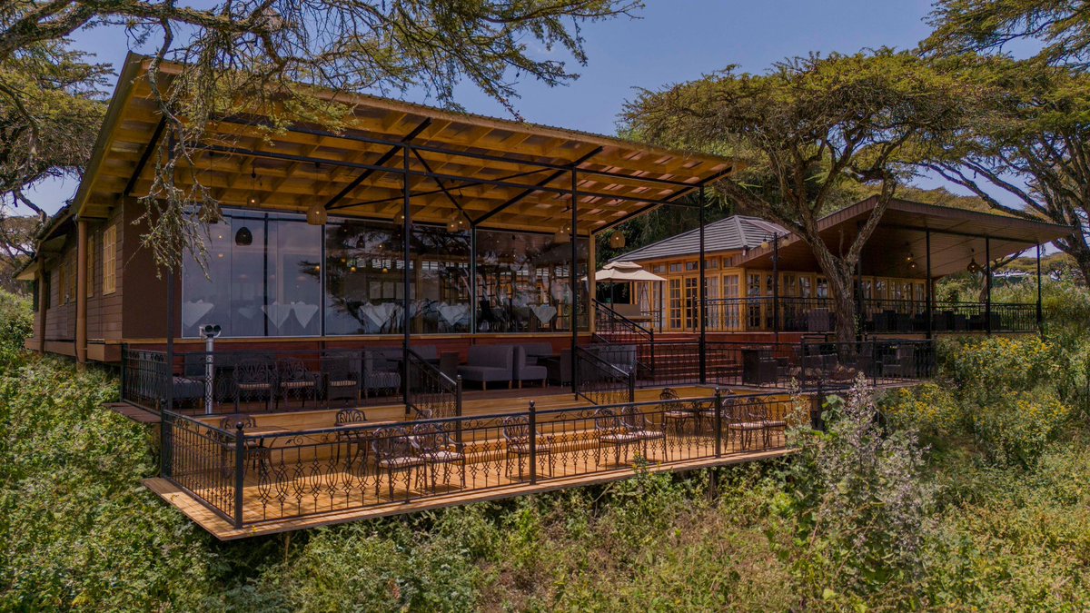Stejos_Tours's tweet image. April in Ngorongoro is a whole mood 

Green Season is officially here. Lush landscapes, crystal-clear views, and newborn wildlife everywhere.

Fewer crowds, more magic. This is the safari secret you’ve been waiting for 

📍 Lion's Paw Camp, 

#Ngorongoro #Safari #TravelTanzania