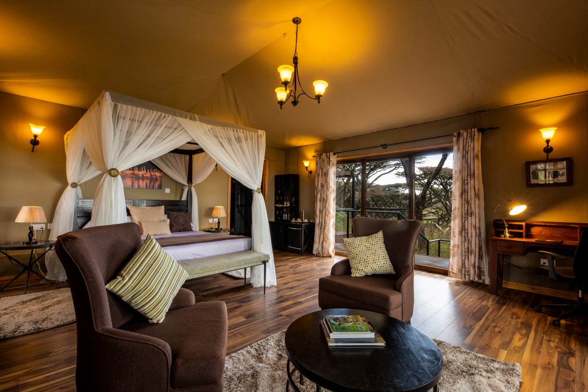 Stejos_Tours's tweet image. April in Ngorongoro is a whole mood 

Green Season is officially here. Lush landscapes, crystal-clear views, and newborn wildlife everywhere.

Fewer crowds, more magic. This is the safari secret you’ve been waiting for 

📍 Lion's Paw Camp, 

#Ngorongoro #Safari #TravelTanzania