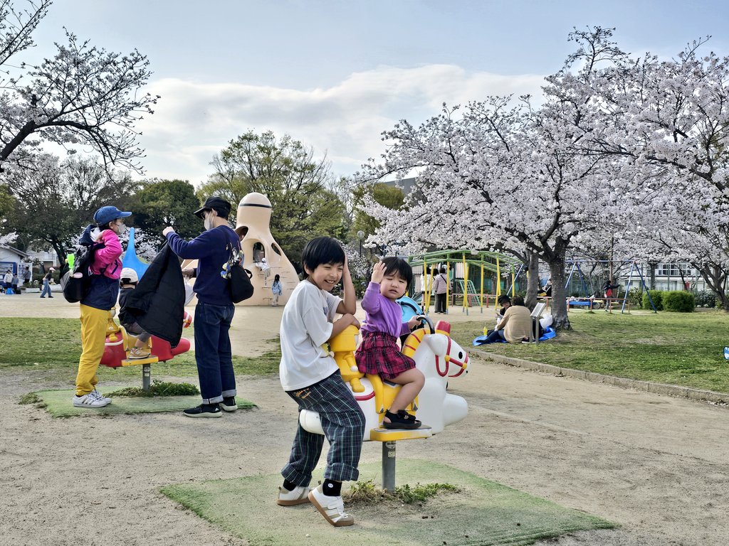10aa23's tweet photo. 🌸蚊がおらへん城跡公園サイコー🌸 https://t.co/KMCVkWJWpp