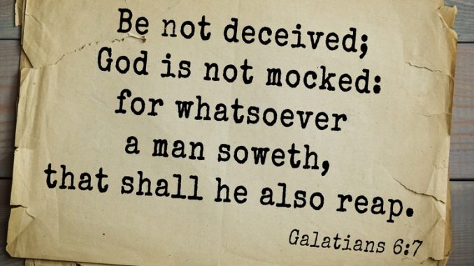 ESixus Maximus tweet media