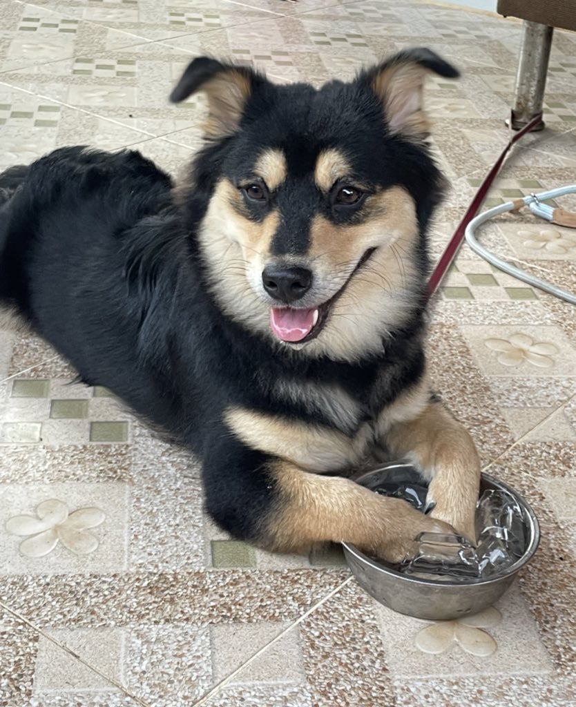 ☃️Nooniiz•ヌン•눈❄️ tweet media