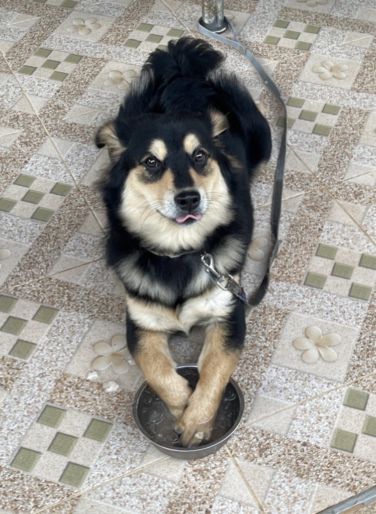 ☃️Nooniiz•ヌン•눈❄️ tweet media