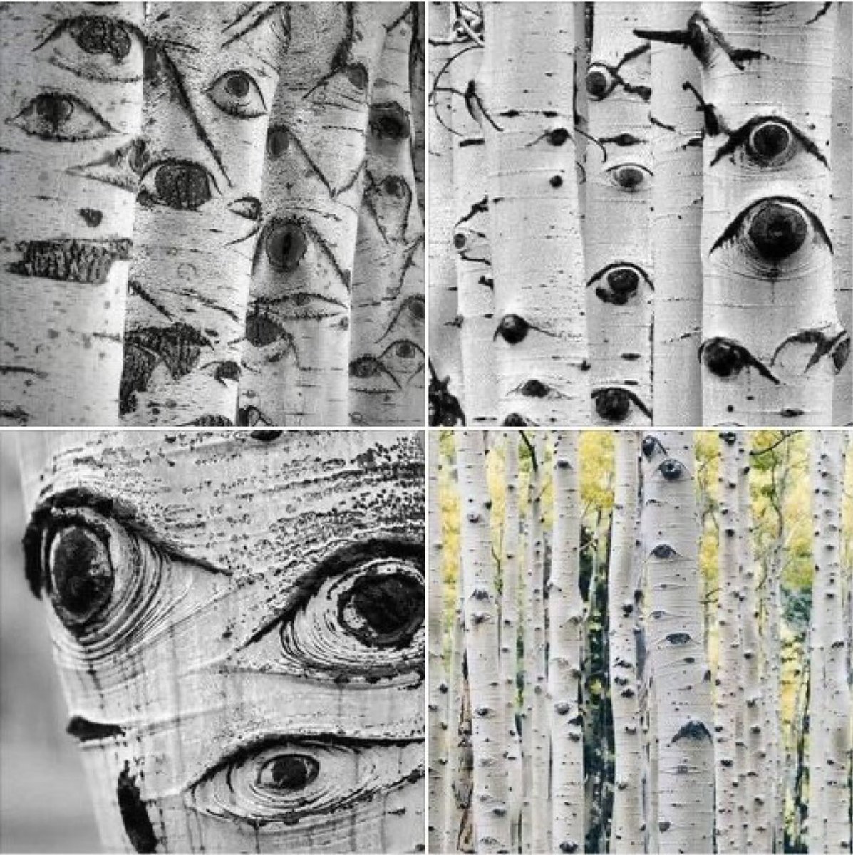 Science girl tweet media