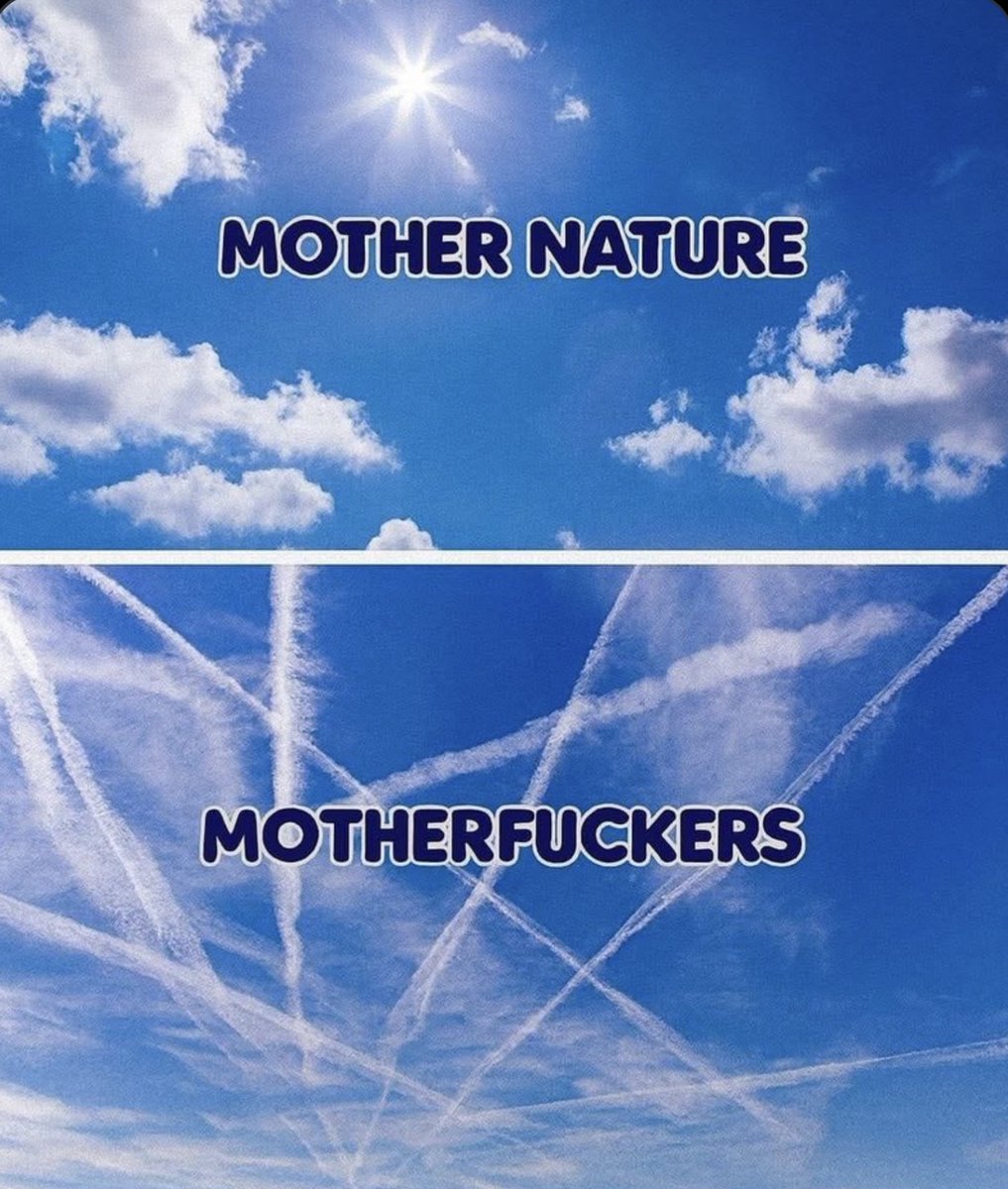 CryptoWolfofTruth tweet media