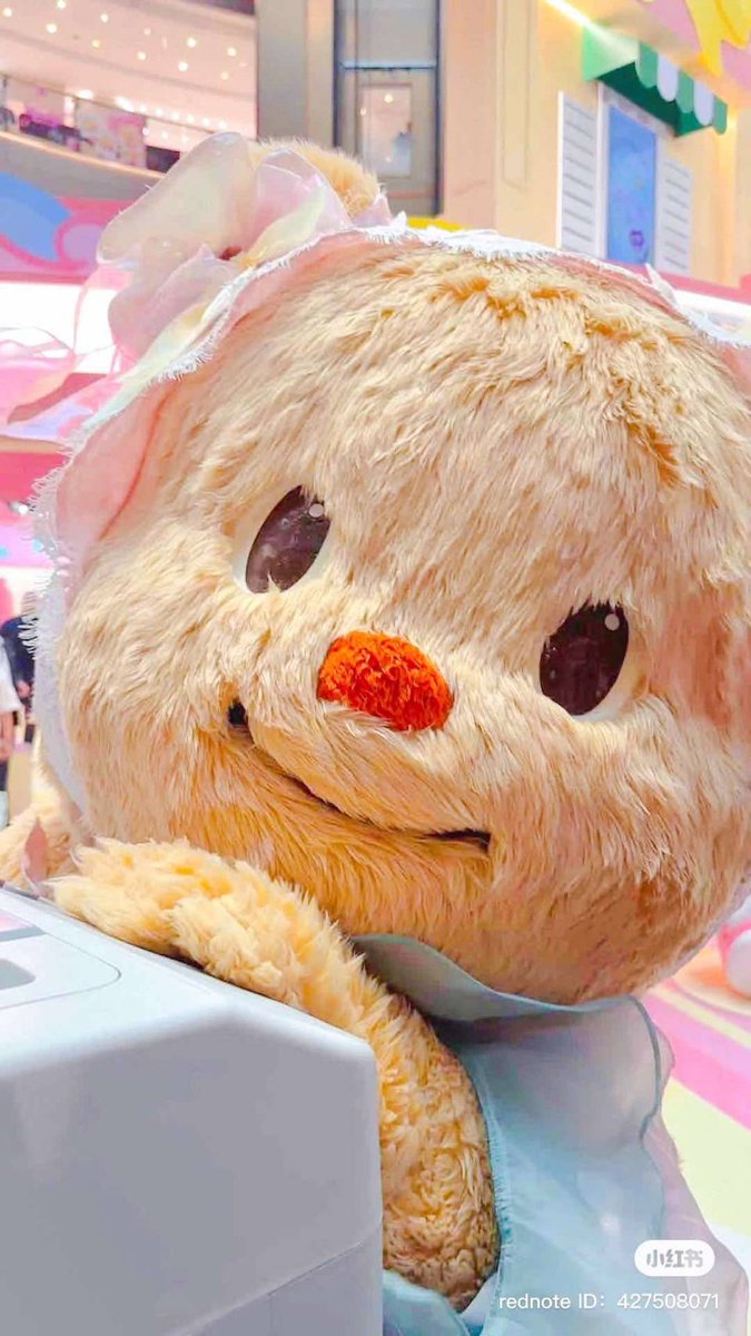 LuvU_BTB tweet media