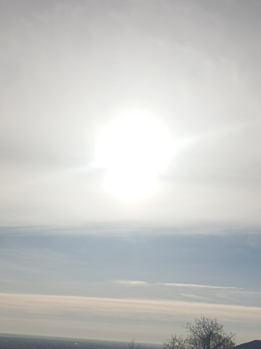 ACQUARIO 76 tweet media