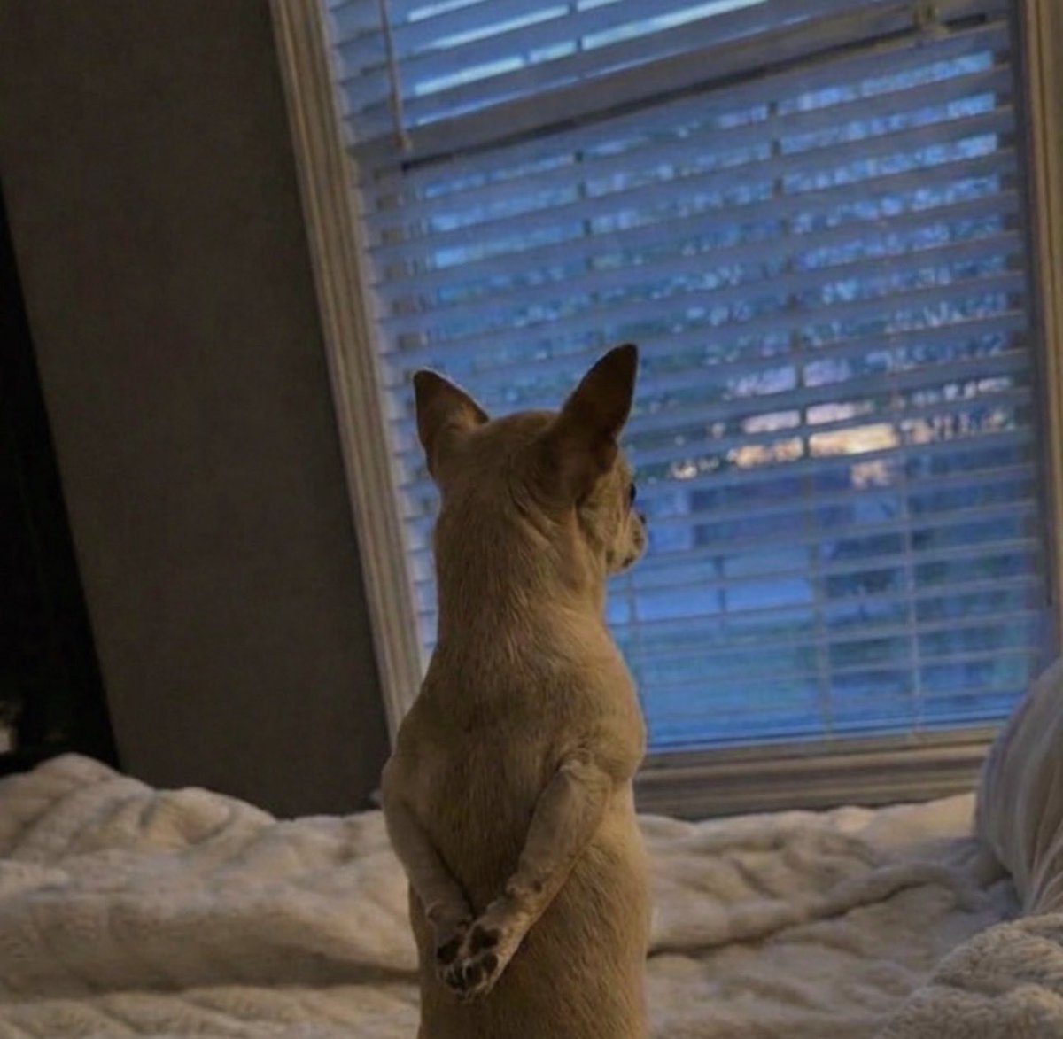 ⭐️⭐️ Bitte gehen Sie weiter⭐️⭐️ tweet media