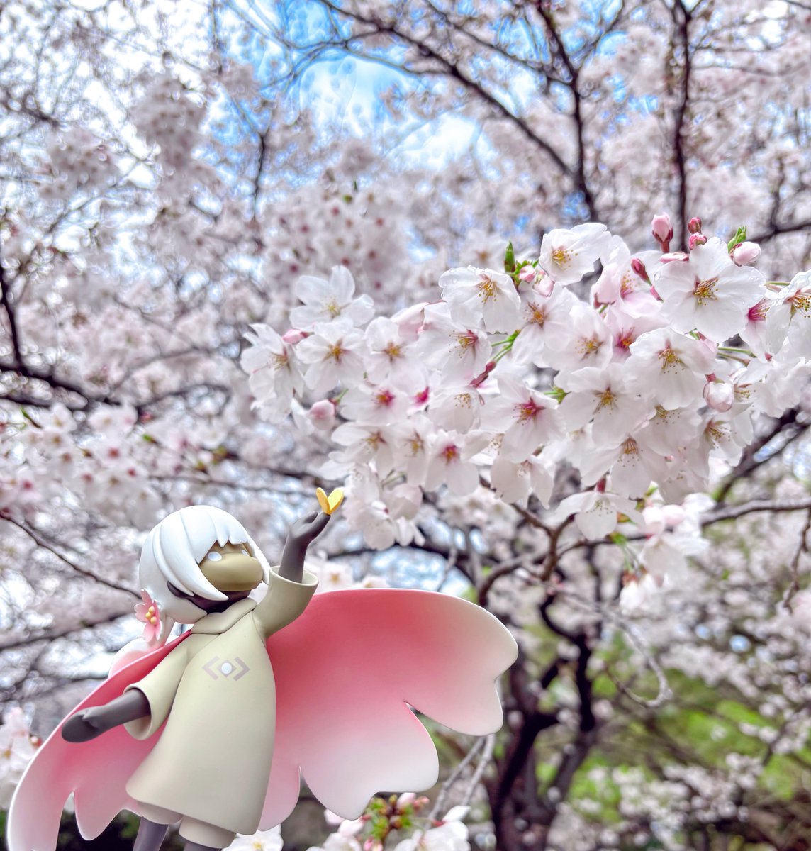 rea_sky4's tweet photo. 満開ツインテ🌸🌸 https://t.co/tNXIEeqebn