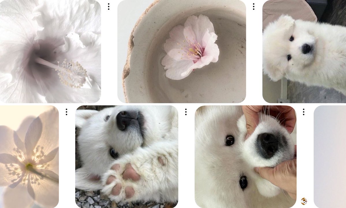 always failure tweet media