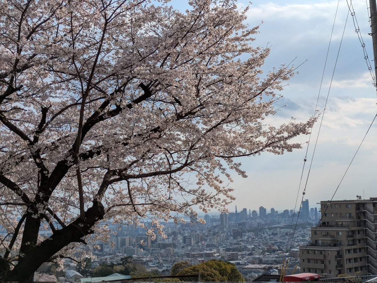 ymokats's tweet photo. 今年度も楽しんでいきましょう🌸 https://t.co/cFlwM9UEdb