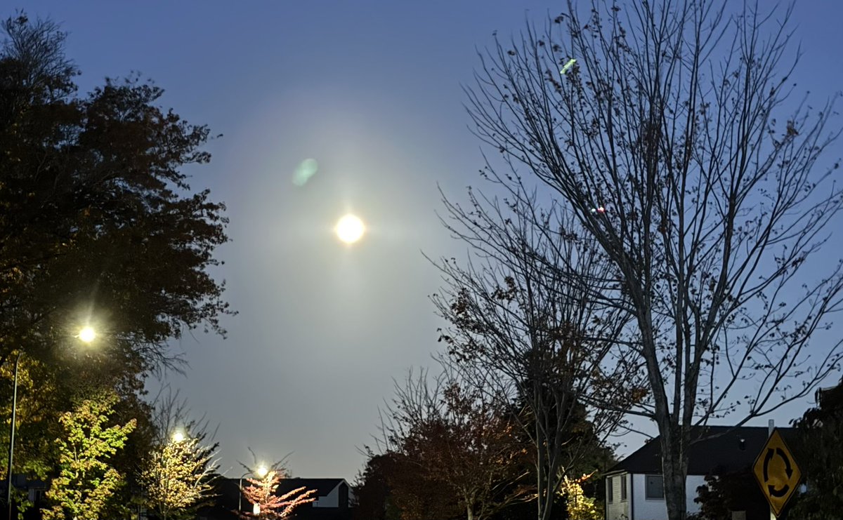 雅 Masa|愛の響きのシンガー(公式)|作詞家|小説家|大学教員(🇳🇿海外在住) tweet media