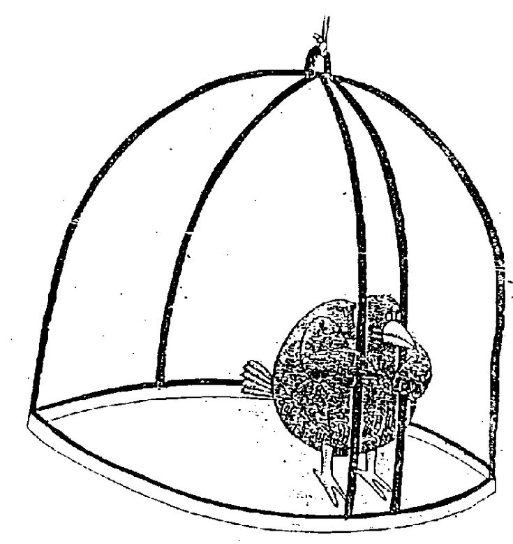 sev 💋 tweet media