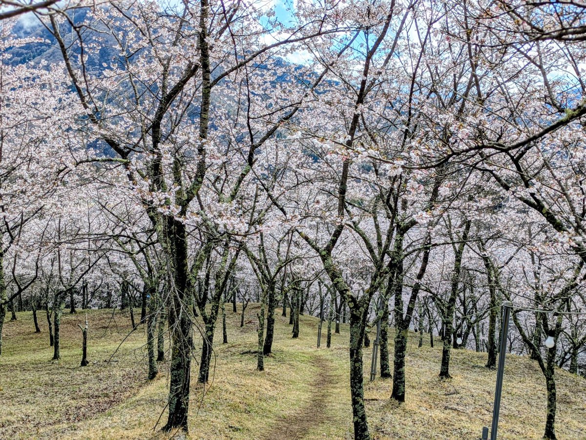 本陣跡・古民家 みどう本陣 tweet media