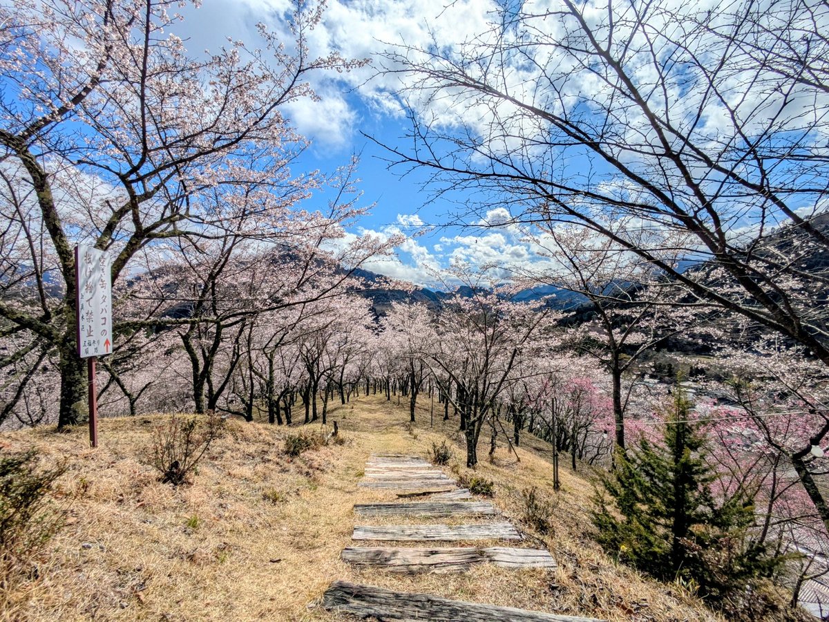 本陣跡・古民家 みどう本陣 tweet media