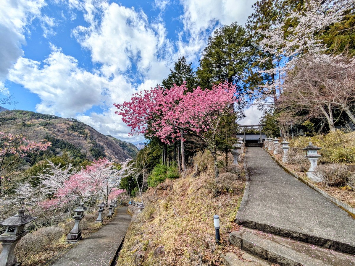 本陣跡・古民家 みどう本陣 tweet media