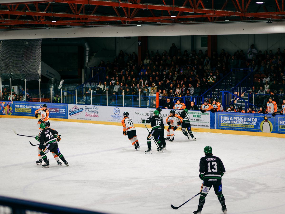 Basingstoke Bison tweet media