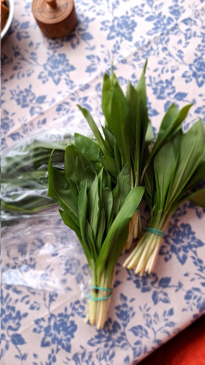 РудаБезГальм tweet media