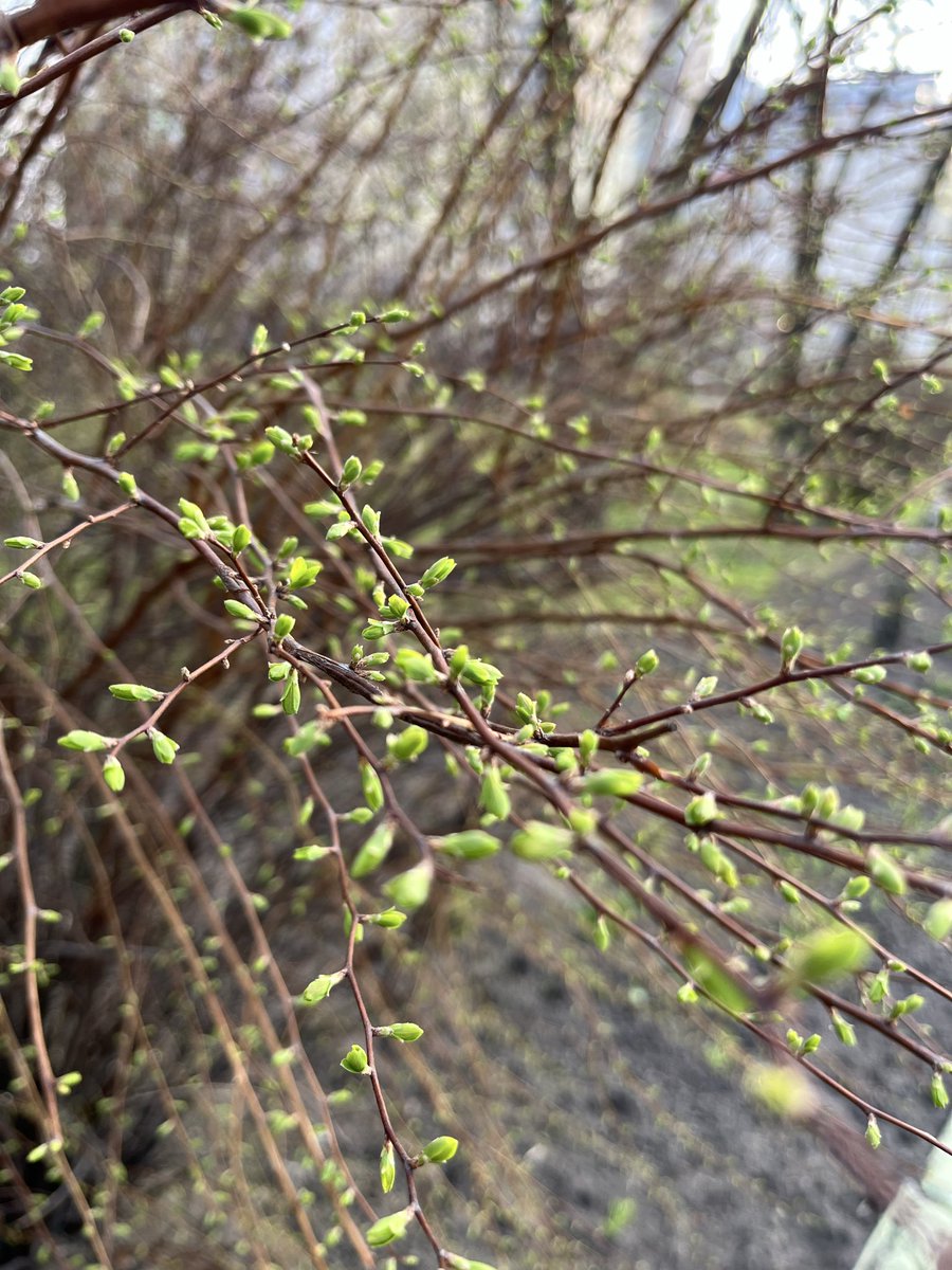 Пробуждение