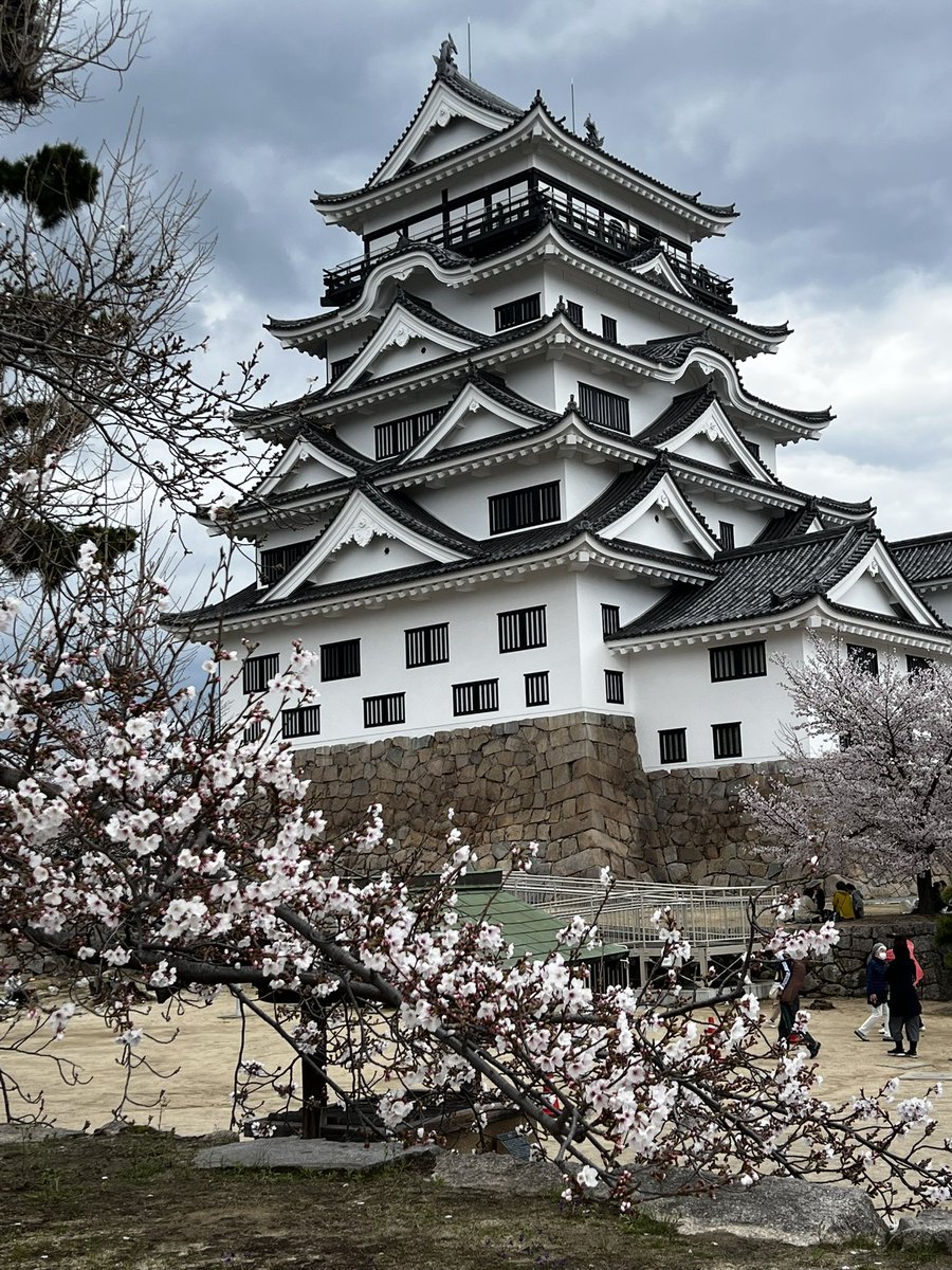 taka__ak19's tweet photo. 桜を満喫！🌸😎

#千光寺
#福山城 https://t.co/ZEoA7tXIPY