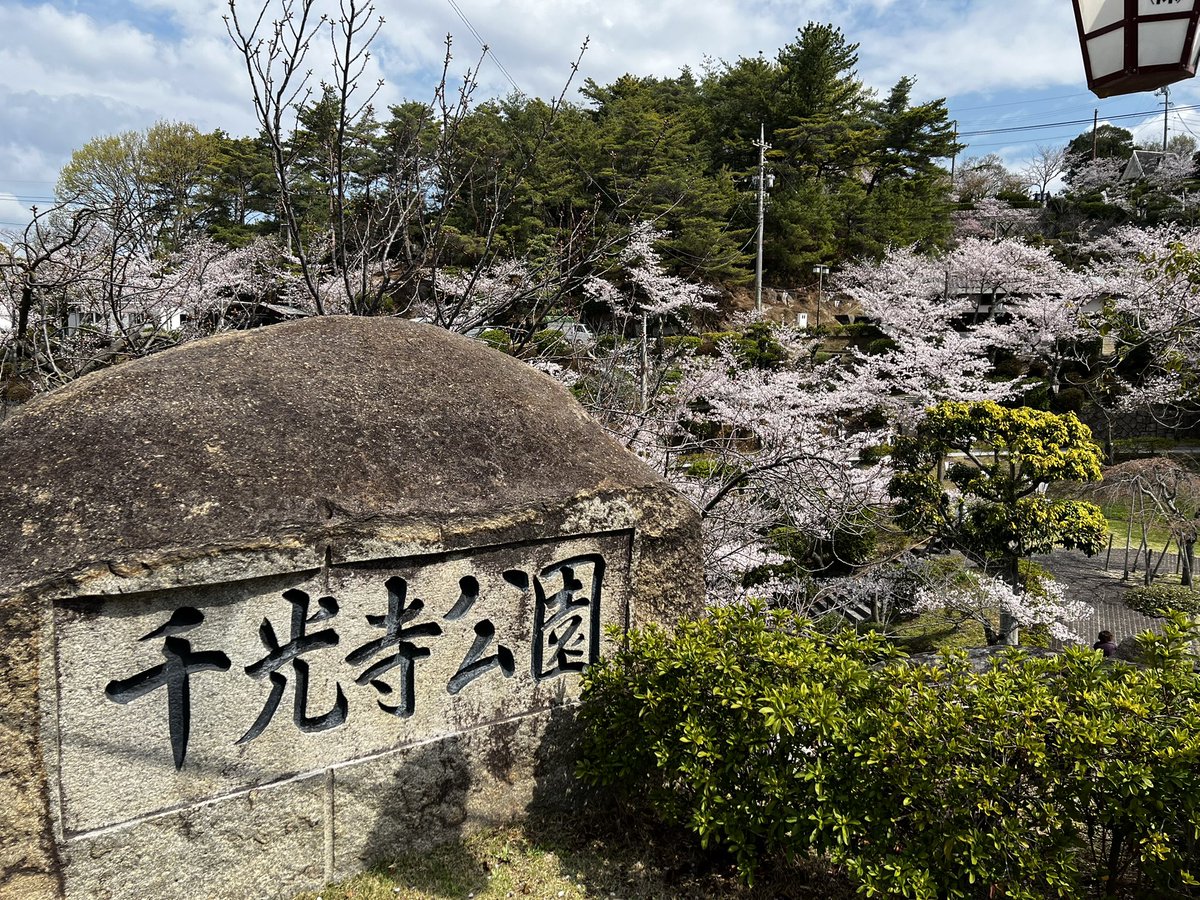 taka__ak19's tweet photo. 桜を満喫！🌸😎

#千光寺
#福山城 https://t.co/ZEoA7tXIPY