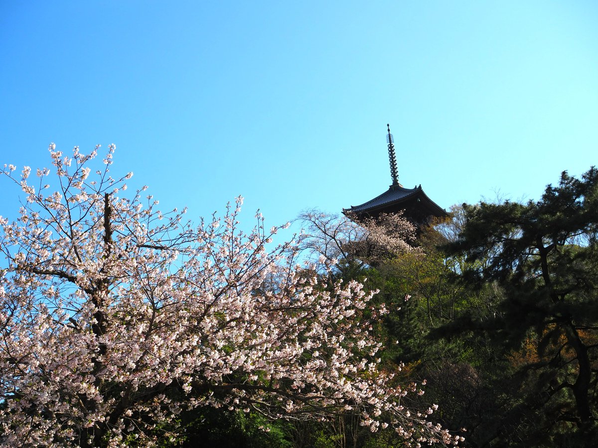 三溪園 tweet media