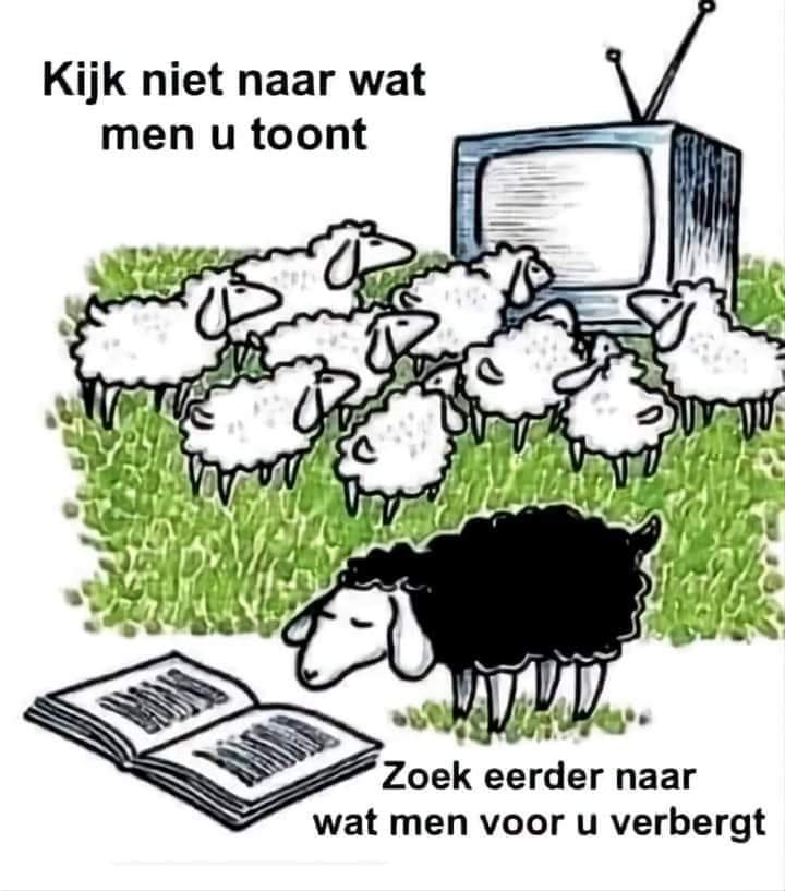 Blijf wakker! tweet media