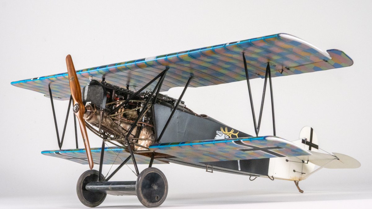 𝕤𝕔𝕙𝕦 tweet media