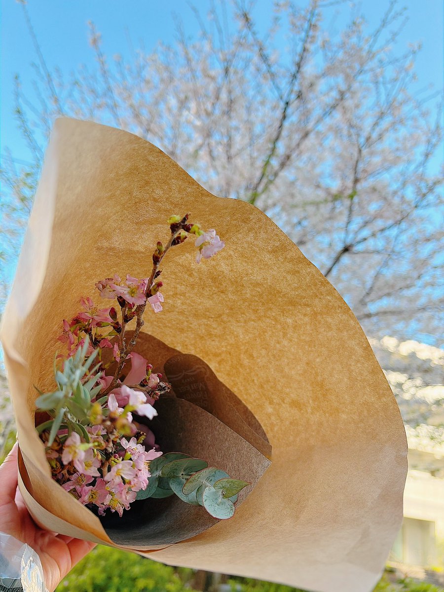 田中沙季 tweet media