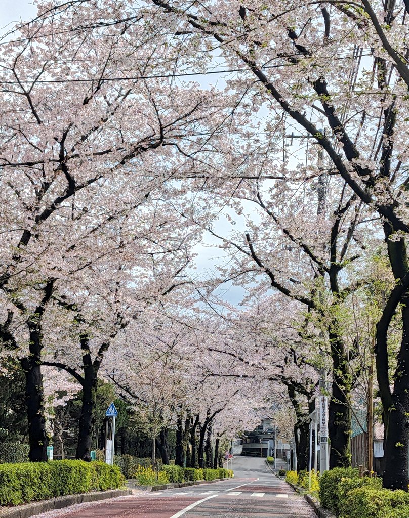 yuka*ys* tweet media