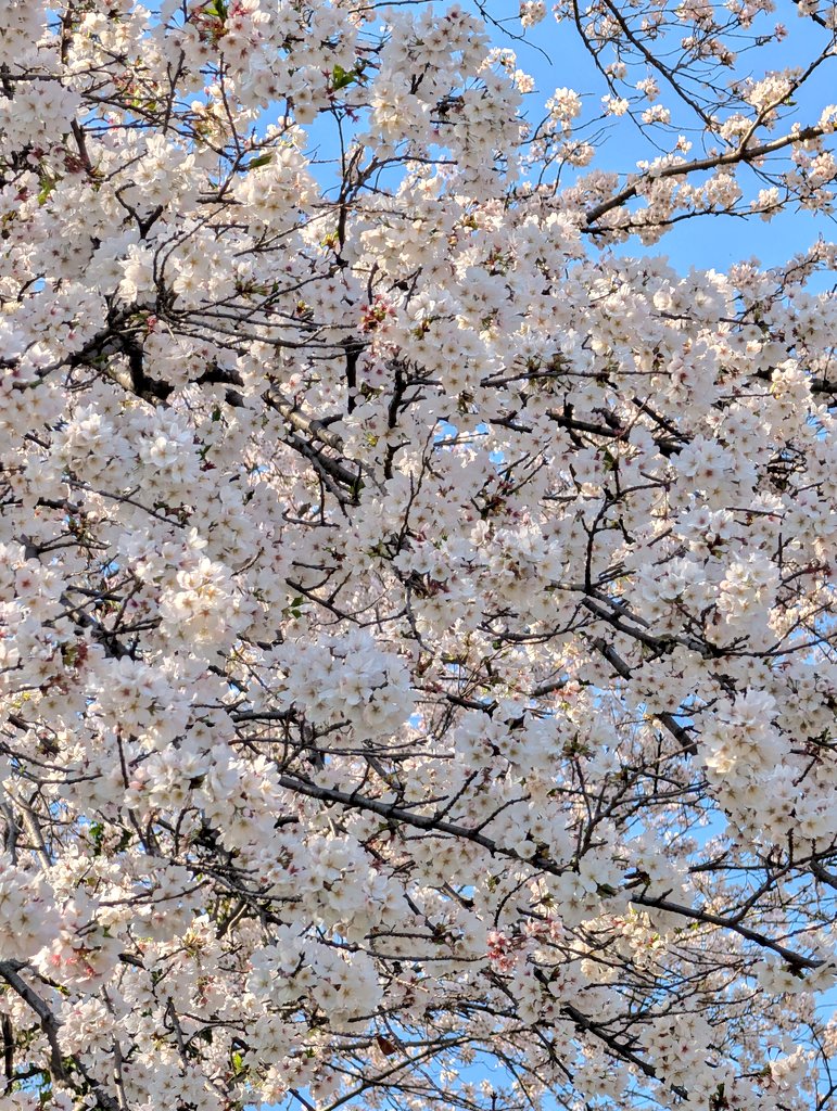 yuka*ys* tweet media